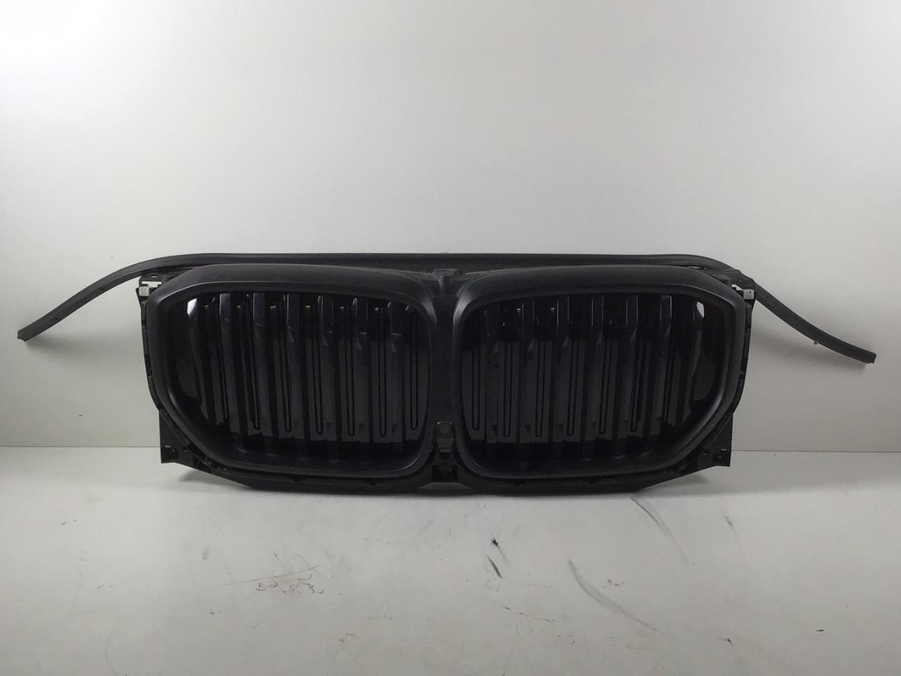 Kühlergrill BMW X5 (G05, F95) 50e Plug-in-Hybrid xDrive  360 kW  489 PS (04.2023-> )