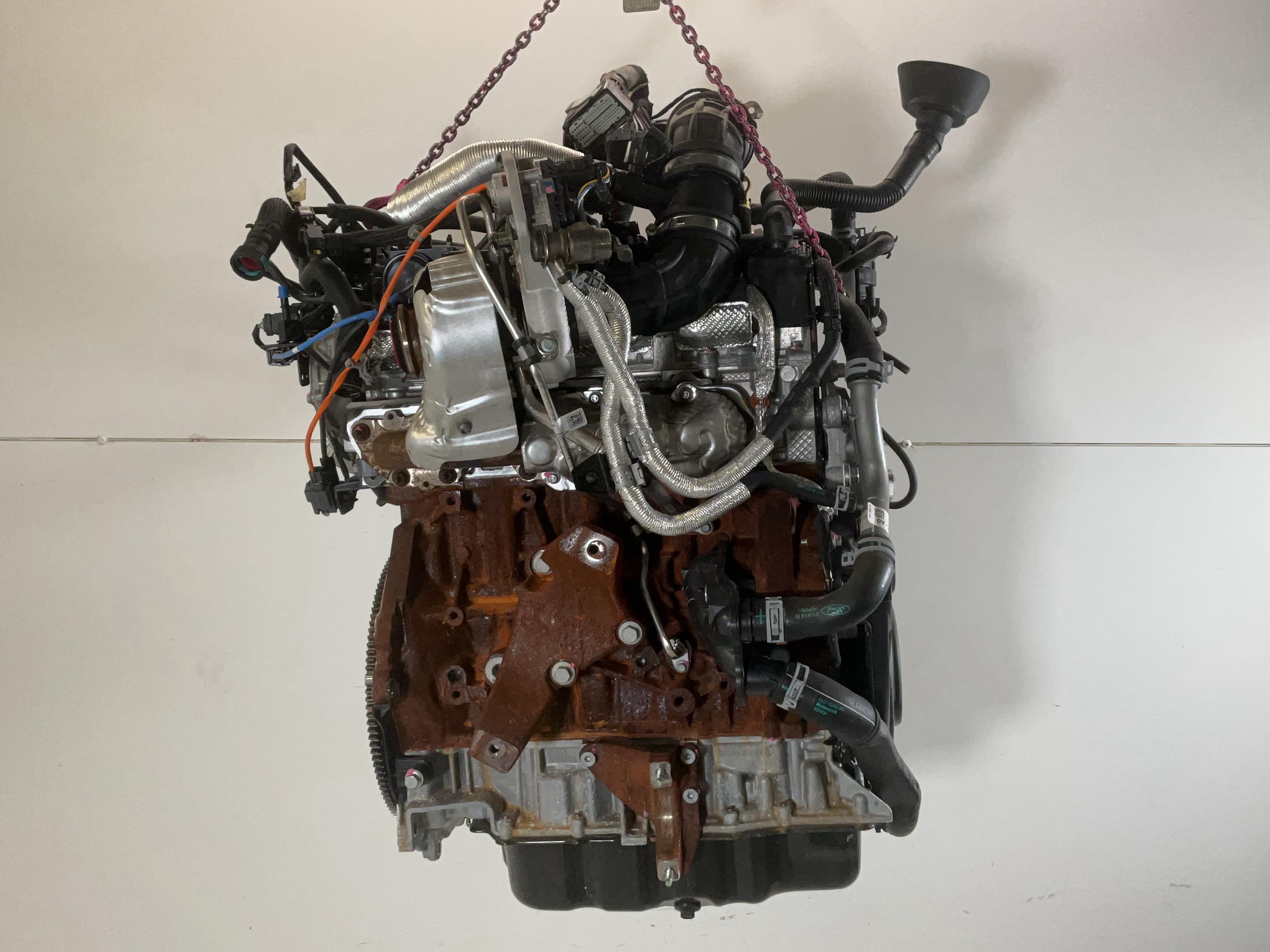 Motor zonder Aanbouwdelen FORD Transit V363 Pritsche/Fahrgestell (FED, FFD) 2.0 TDCi  125 kW  170 PS (03.2016-> )