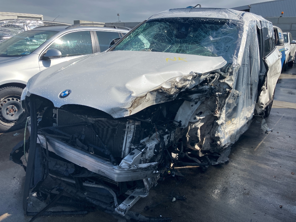 BMW X1 (F48) xDrive 20d