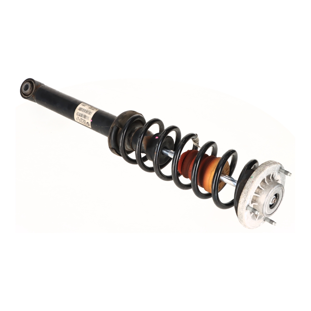 Suspension strut left rear BMW 5er (F10) 520d xDrive  135 kW  184 PS (07.2013-06.2014) Suspension strut left rear BMW 5er (F10) 520d xDrive  135 kW  184 PS (07.2013-06.2014)