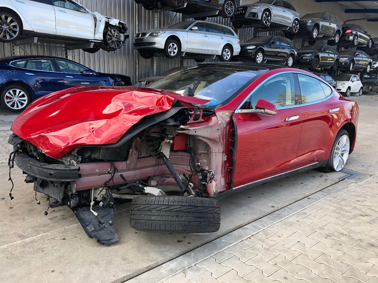 TESLA
