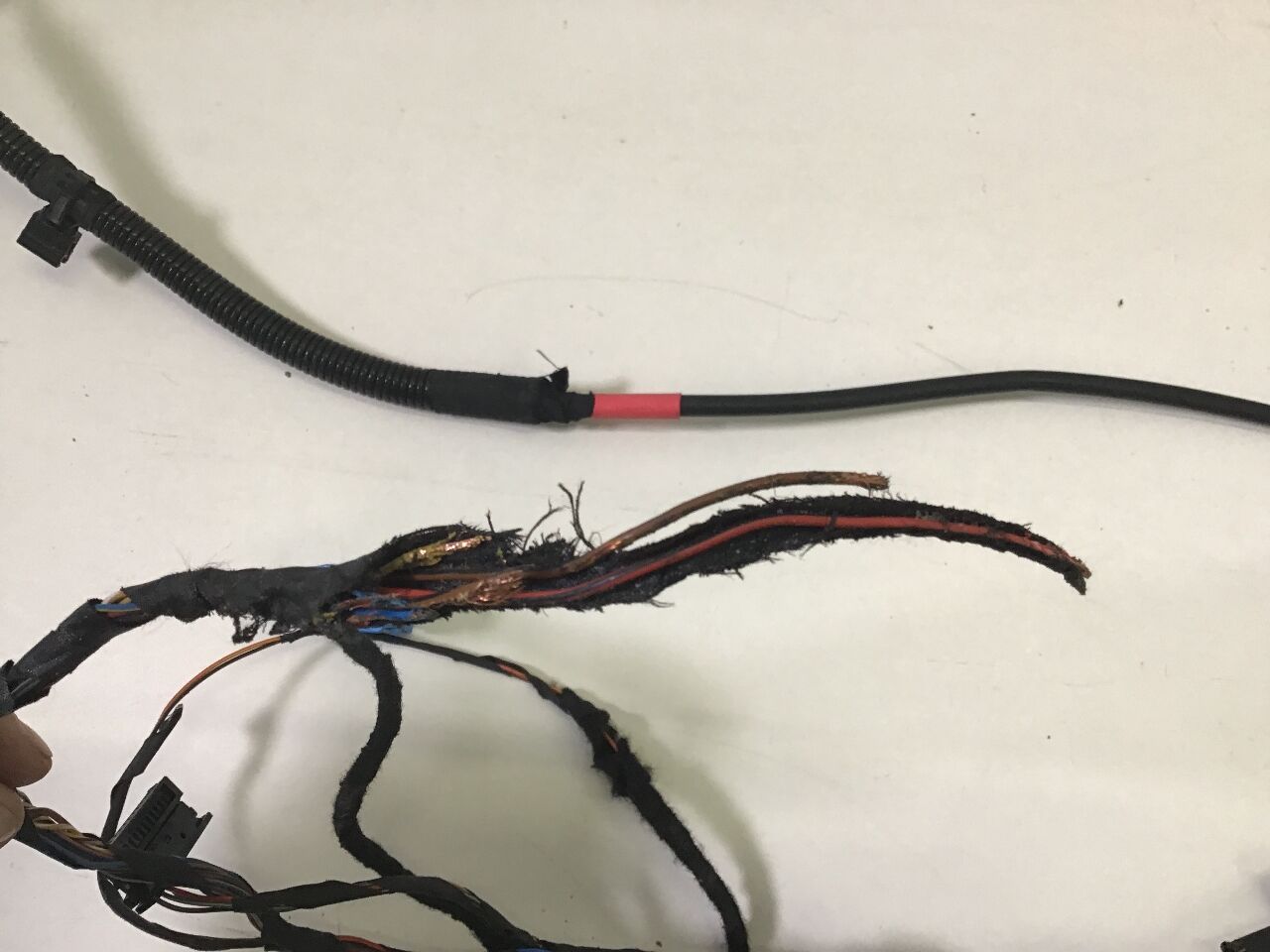 Cable harness TOYOTA Supra (DB) 3.0 GR  250 kW  340 PS (03.2019-> )
