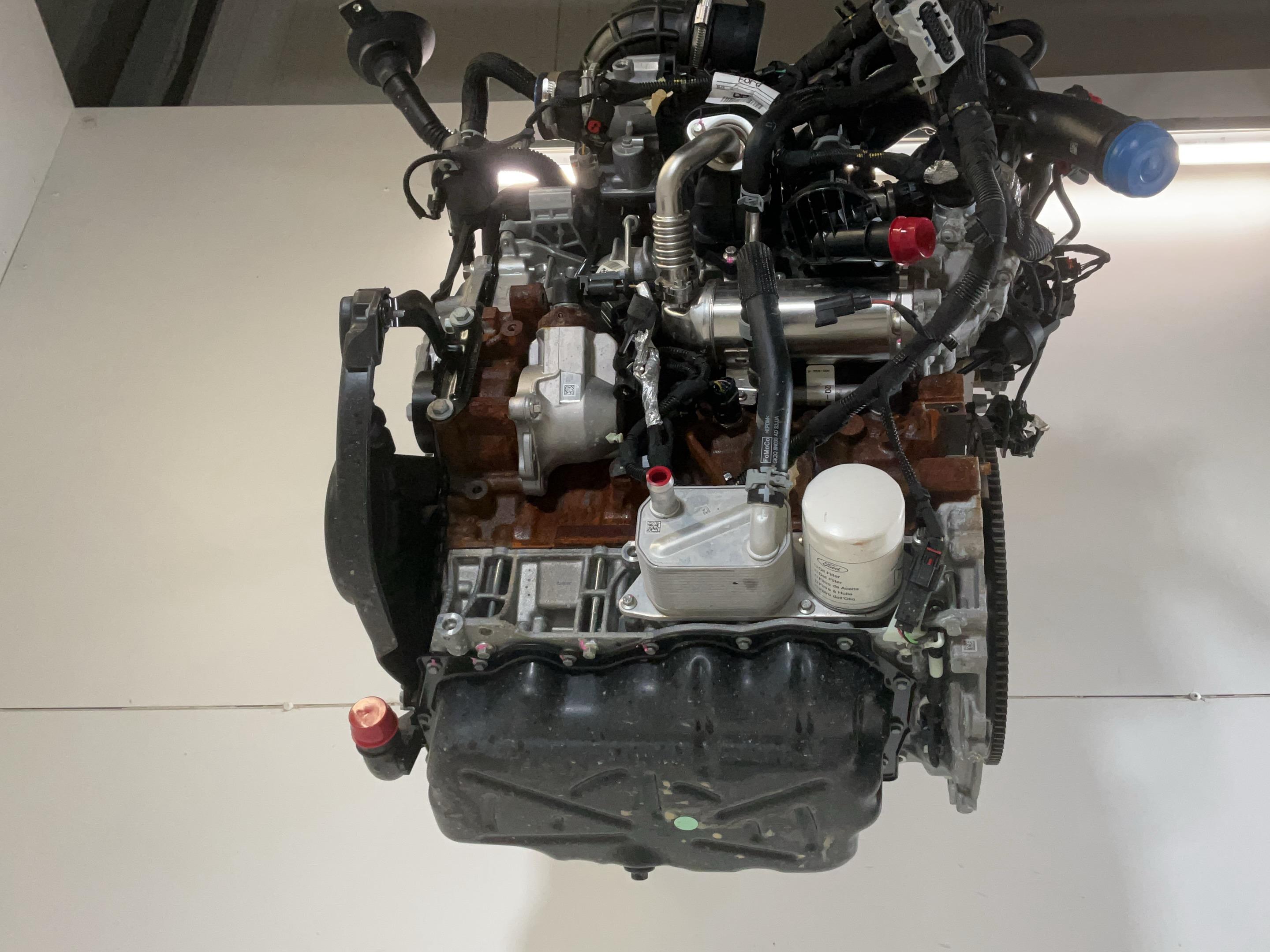 Motor zonder Aanbouwdelen FORD Transit V363 Pritsche/Fahrgestell (FED, FFD) 2.0 TDCi  125 kW  170 PS (03.2016-> )